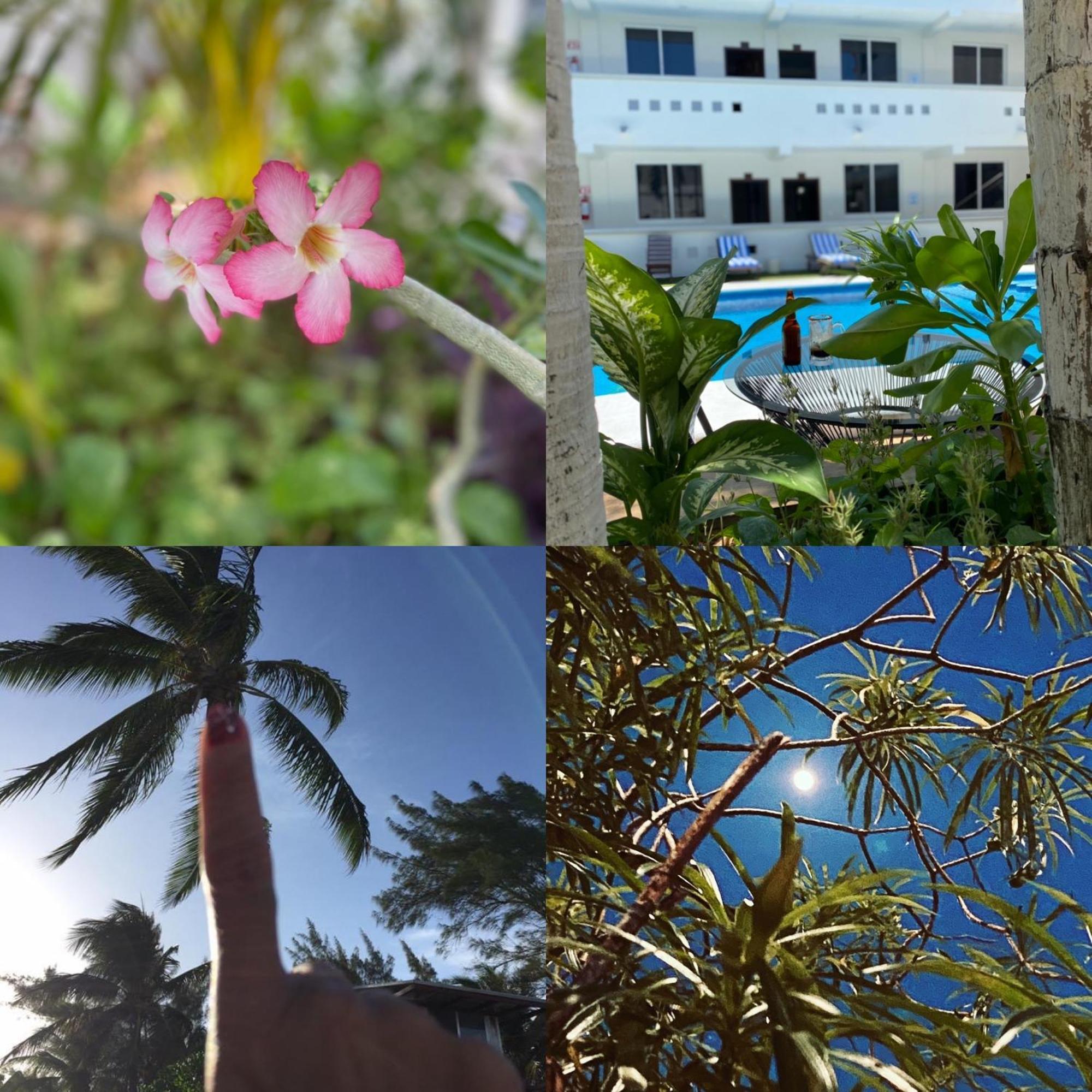 Hotel Balxiba Playa del Carmen Buitenkant foto